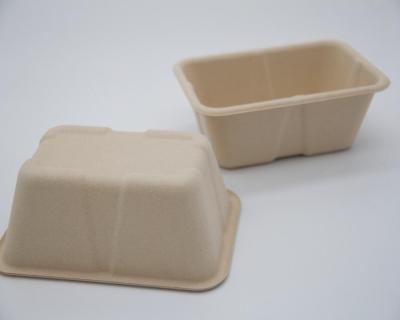 China Environmental Dessert Slide Out Takeout Packaging Healthy Bamboo Eating Bento Box for sale