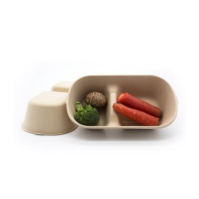 China Disposable Biodegradable Bamboo Tableware Compostable Food Storage Containers for sale