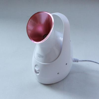 China Can put aroma sticker in jet head KD-2331 made in China top product Ion Facial Skin Ion Steamer for sale