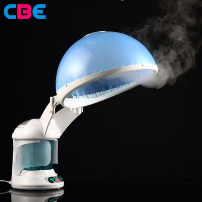 China KD-2328A DEEP CLEANING 2 in 1 facial moisturizer hair steamer with ozone for sale