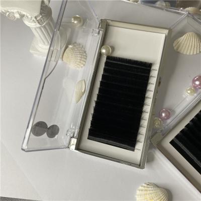 China Natural Beauty Individual Lotus Volume Whips Extension Tray Volume Box Private Label for sale