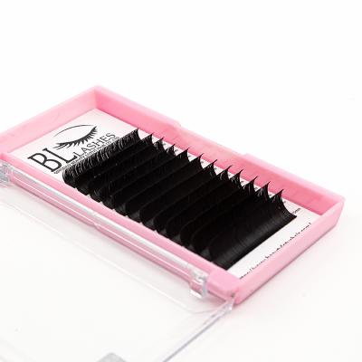 China Best Sellers Eyelash Extensions Natural Fluffy Easy Fanning Mink Eyelash Extensions Fan Supplies for sale