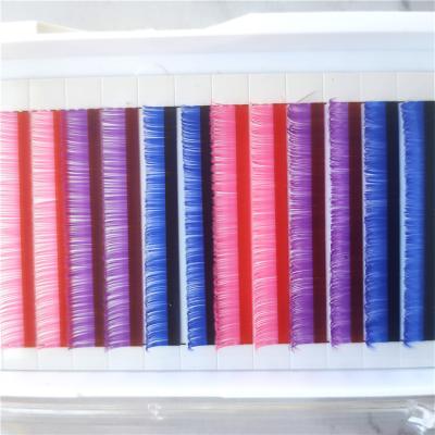 China High Quality Colored Full Volume Wick Extenions Mixed Color Lashes Flat Lashes Color for sale