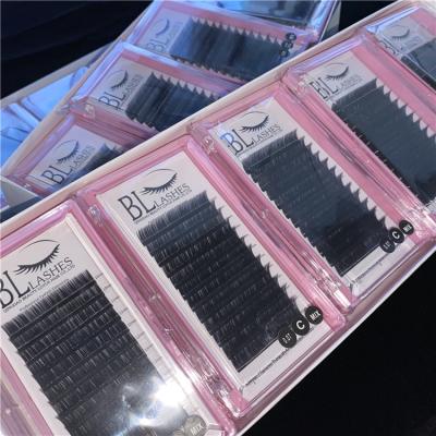 China Natural Hot Selling Ellipse Eyelash Extension Eyelash Flat Flat Eyelash Extension Flat Eyelash Extension for sale