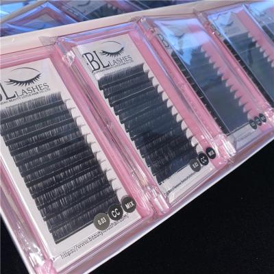 China Individual Private Label Eyelash Extension Different Eyelash Ellipse Natural Flat Lay Flat Eyelash Extensions for sale