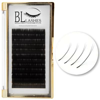 China Factory Natural Soft Premium Ellipse Private Label Flat Eyelash Extensions for sale