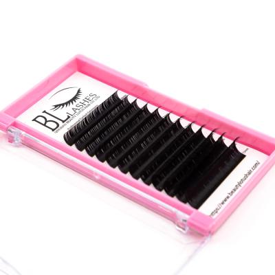 China Natural Korean Private Label Mink Eyelash Extensions Price Pack Logo Supplier for sale