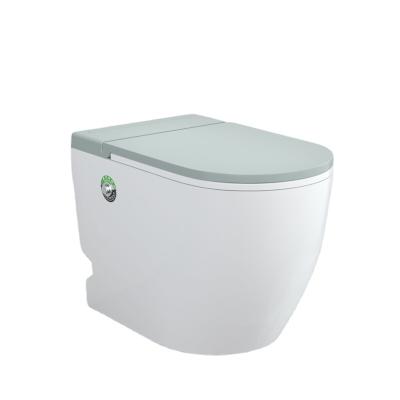 China Concealed Sanitary Wall Hung Toilet Toilet YW2022 Color Of European Standard Ware Popular Comfort Size Tank for sale