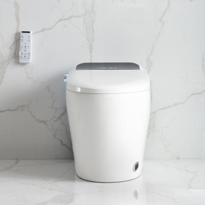 China Full Automatic Automatic Operation Toilet Seat Heater Toilet Seat Damper Smart Soft Close Toilet YS1065 for sale