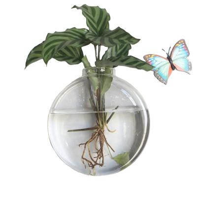 China Nordic Hot Sale Wall Mounted Hydroponic Glass Vase To Europe for sale