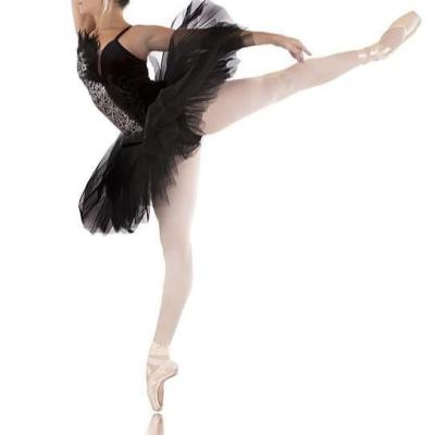 China 2023 new arrival women's black swan TUTU professional girl's tutu dress pancaked dance costumes dresses for sale