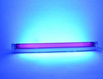 China T5/T8 Lamp/uv lamp/uv light/T5 6w BLB Triphosphor black light machine fluorescent lamp/UV curing purple purple light tube with G5 lamp base for sale