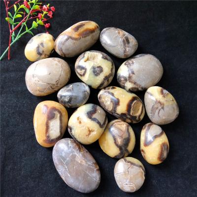 China High Quality Crystal Palm Stone Septarium For Healing Natural Gemstone Stone Rough Gift From Europe for sale