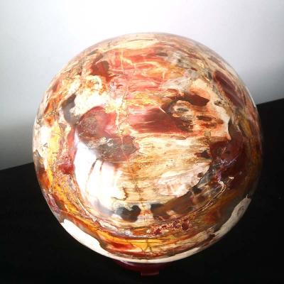 China Wholesale Natural Fossil Ball Crystal Sphere Quartz Sphere Wooden Crystal From Europe For Healing for sale