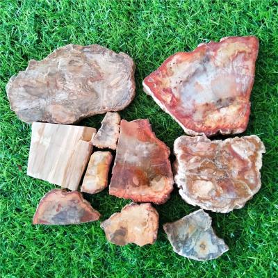 China High Quality Freeform Crystal Slab Wood Fossil Slice Natural Healing Gemstone From Europe For Decor for sale