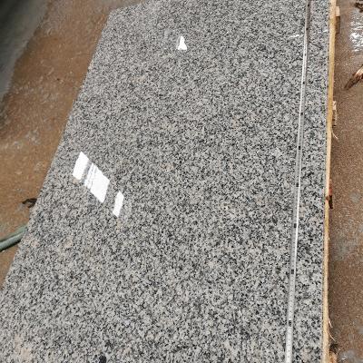 China Modern Hot Sale Natural Stone Ethiopia Granite Slabs Ping Pong Tables Polished 130x78x3cm for sale