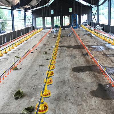 China Farms Chicken Poultry Farm Equipment Drinking Conveyor Chicken Water Feeding System for sale