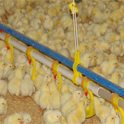 China Durable Poultry Chicken Farm Equipment Waterline For Automatic Chicken Chicken Waterline for sale