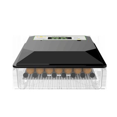 China Closed ; Home use. Full Automatic Egg Incubators Hatching Machine Mini Black Egg Incubator For Sale for sale