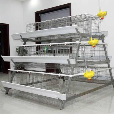 China Animal Farms Poultry Farm Chicken Cages Cage Layer Soft Edge A Type Chicken for sale