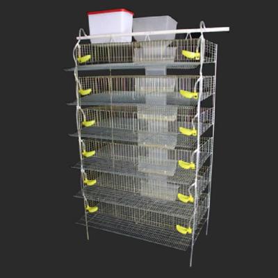 China Farms Quail Cage Layer Animal Cage Breed Quail Cage for sale