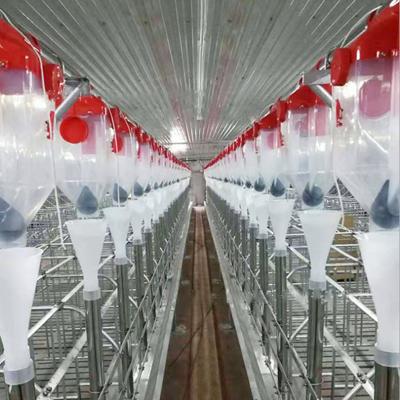 China Pig Farm Automatic Pig Farm Feeding System Pig Automatic Feeding Equipment for sale