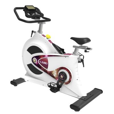 China 2021 New Health Exercise Gym Fitness Equipment Home Sports Spin Recycling Bike Home Indoor Easy Use Spin Bike for sale