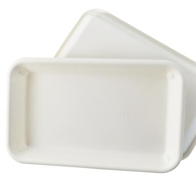 China Disposable Rectangular Food Dish Hotel Food Dish Barbecue Salad Fruit Western Square Dish for sale