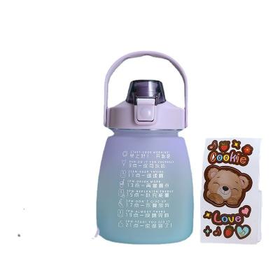 China Creative Anti-drop Plastic Resistant Straw Water Bottle High Temperature Portable Large Capacity Viable for sale