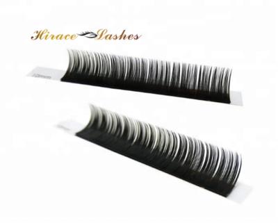 China Mix Length BCD CC Natural Soft 0.03mm Premade Dual Density Russian Classic Whips Individual Lick Extension for sale