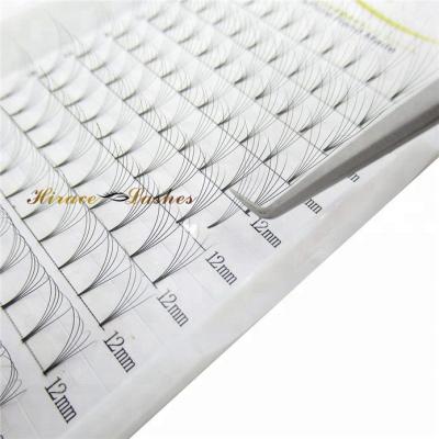 China Mink Eyelash Extension 3D 4D 5D 6D 8D 10D Natural Soft Wick Pre Fanned Volume Eyelash Extension for sale