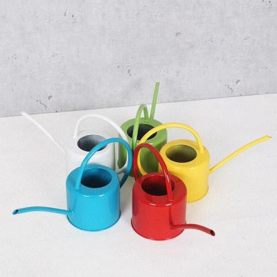 China 2022 Green Flower / Plant Power Coated Cheap Watering Flowers Tools Galvanized Metal Watering Can for sale