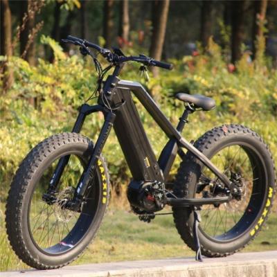 China 2020 Brand New Luxury Fat Tire Ebike 48V 750W Mid Drive Motor Bike Mountain Electric Bicycle With Dual Battery for sale