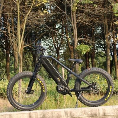 China Bafang G510 48v750w 26x4.0 big fat tire luxury snow bike electric bicycles for sale for sale