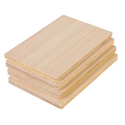 China High Quality Eucalyptus Cabinet Furniture Grade Plywood Best Selling Plywood Contemporary Hot Multilayer Plywood Sheet for sale