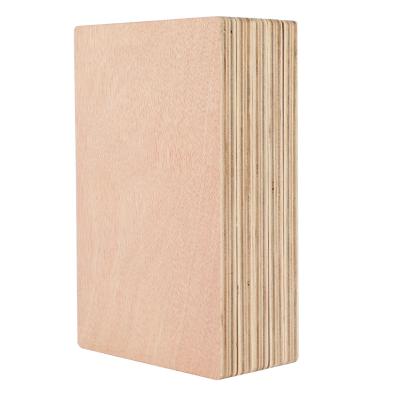 China Factory Supply Eucalyptus Cabinet Furniture Grade Plywood Contemporary Multilayer Wood Plywood High Quality Board Direct for sale