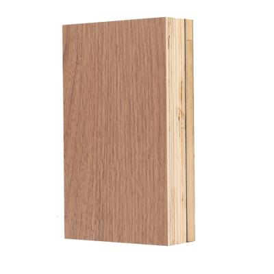 China Factory Price Direct Selling Modern Styles Are Poplar Hardwood Plywood Various Melamine Eco-Friendly Board for sale