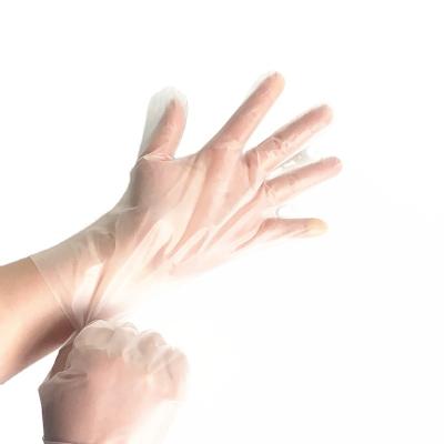 China Food Serving Strip Disposable Gloves Clear Food Grade Gloves Household Cleaning And Salon Gloves for sale