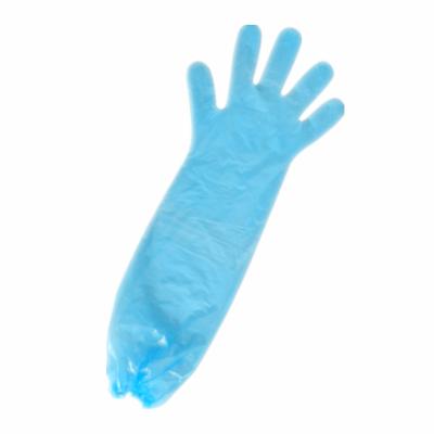 China Food Serving Hot Sales Clear PE / LDPE / EVA , CPE Disposable Extended Arm Long Sleeves Plastic Gloves for sale