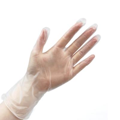 China Plain Powder Free Vinyl Disposable Gloves Food Grade Gloves Household Cleaning for sale