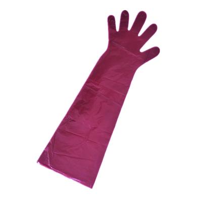 China Disposable Veterinary Gloves PE Plastic Gloves For Animals M for sale