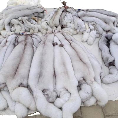 China Wangwu density of fur fluffy heavy factory direct sales of all kinds of fur fox skin raccoon animal skin for sale