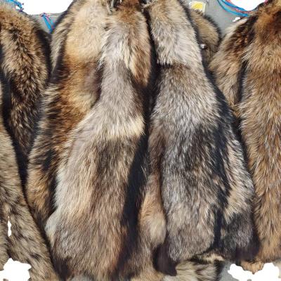 China Fluffy Heavy Density Sale Of Natural Raccoon And Blue Fox Hides At Low Prices for sale