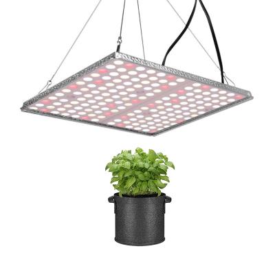 China Seed Starting SMD LM281B LED Grow Light Board High Lux 1000W Full Spectrum Grow Lamp With Reflector For Indoor Plants Veg Flower for sale