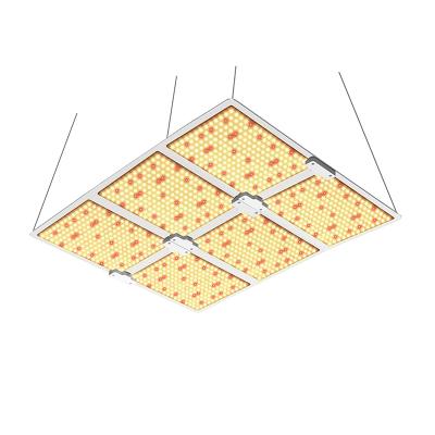 China Seed Starting Dropshipping Full Spectrum QBS6000 600w SMD LM301B 660nm DIY LED Panel Grow Light for sale