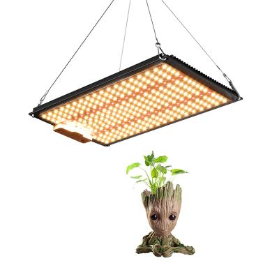 China Seed Starting Dropshipping QBB1000 120W SMD Led Grow Lamp Full Spectrum LED Grow Light High PPF For Seedling, Veg and Flowering for sale