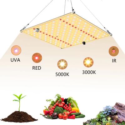 China Seed Starting Newest LED Grow Light 650W With IR Full Spectrum UV Samsung Lm281b+ Chips For Indoor Plants VEG/Seedling/Flower for sale