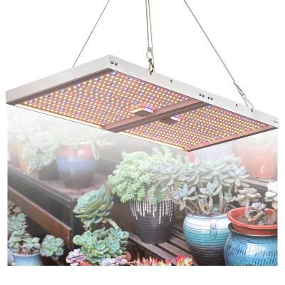 China Seed Start Time Dimmable Plant Growth Lamp 120W Indoor Foldable Quantum Plant Grow Light Hydroponic Garden Led Plant Lamp for sale