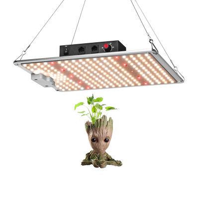 China Seed Starting Dropshipping QBSSF1000 LED Grow Light Samsung Diodes MeanWell Driver With Garland for sale