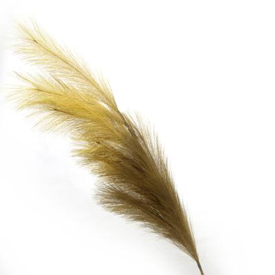 China Natural Touch Guaranteed Popular Quality Appropriate Prices Artificial Big Pampas Grass Fake Decoration for sale